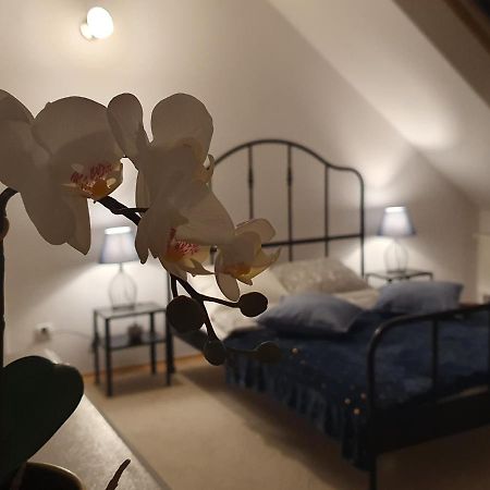 Mieszko Rooms Legionowo Bagian luar foto